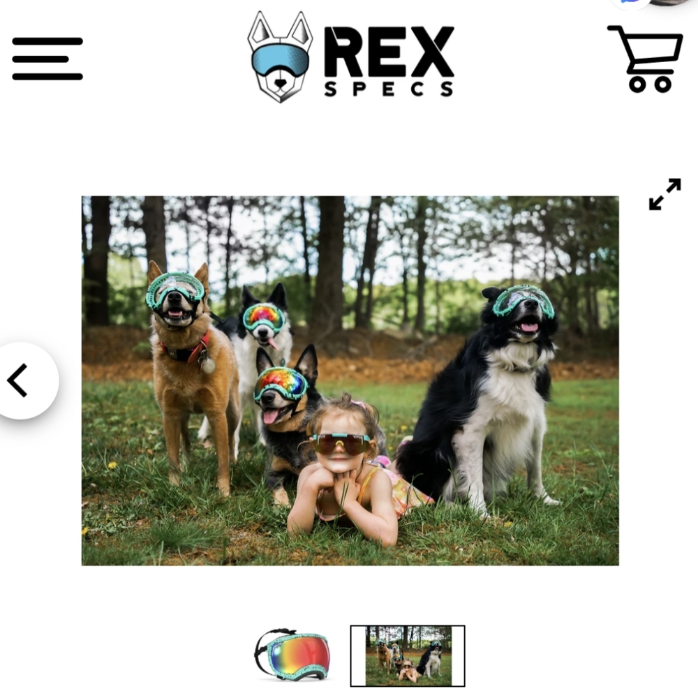 ISO (not for sale) Large Rexspecs Pit Vipers and matching human Pit Vipers.